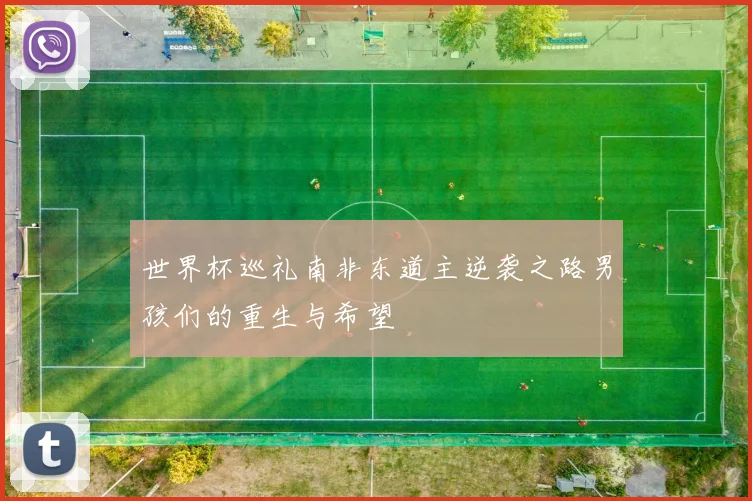 世界杯巡礼南非东道主逆袭之路男孩们的重生与希望